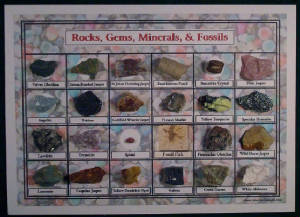 mineralcollection014galleryrevised.jpg